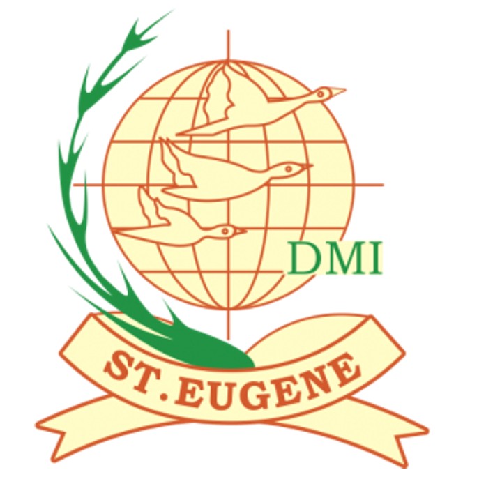 DMISEU - International Journal of Multidisciplinary